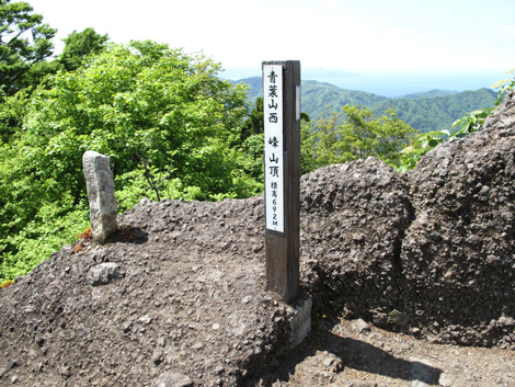 20140517hike (229)